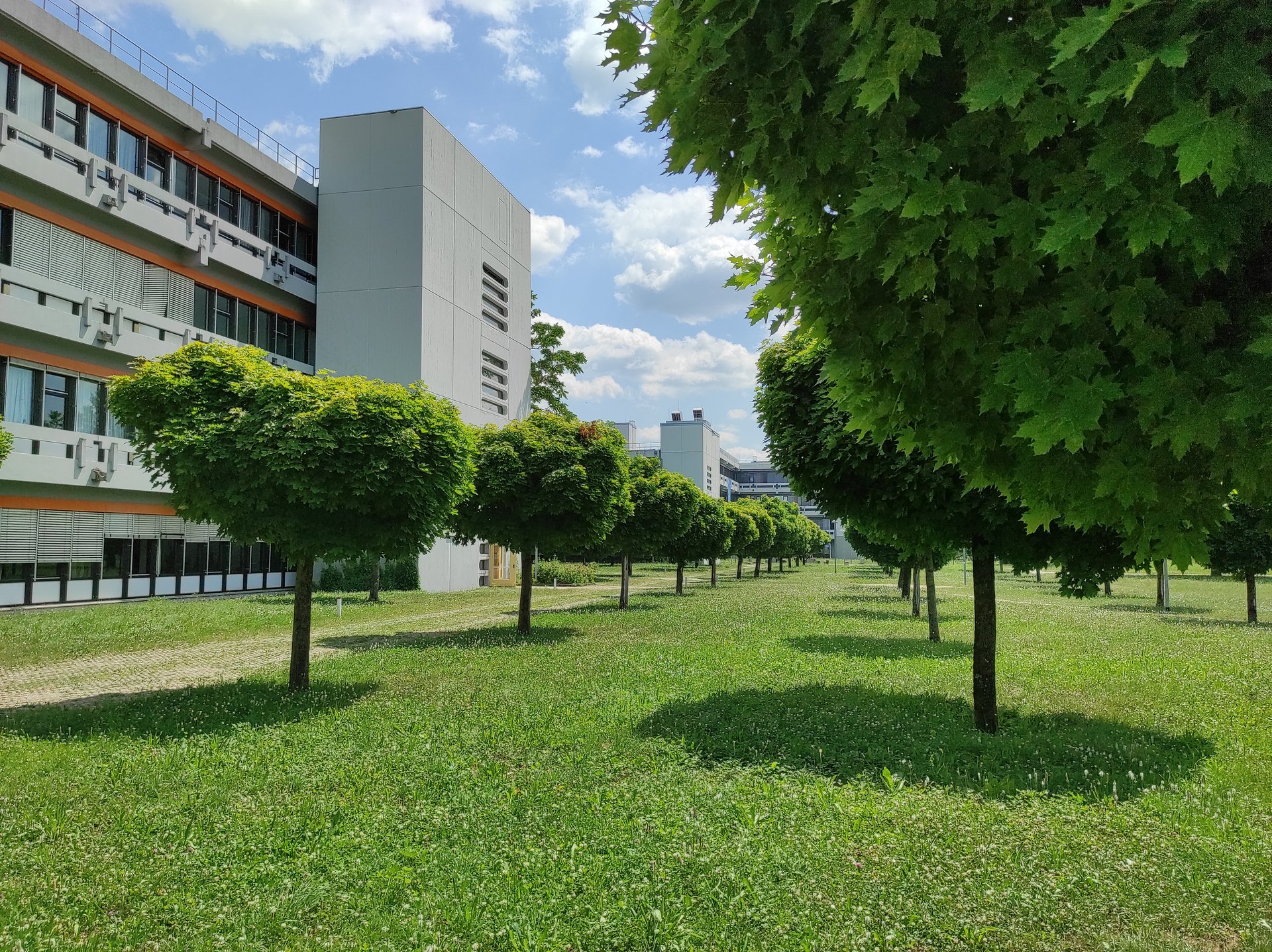 Gebäude der Fakultät Life Sciences mit Bäumen